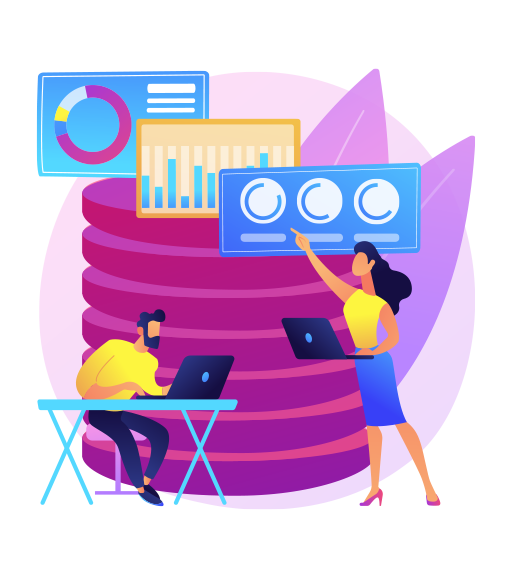 Data Enrichment Services (DES1)
